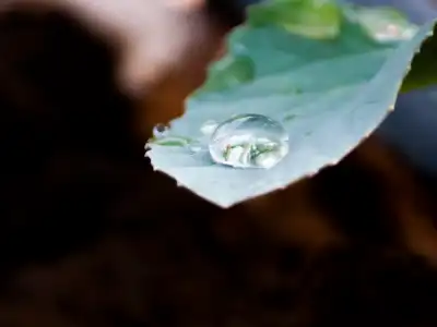 Filters for Sprinkler Irrigation